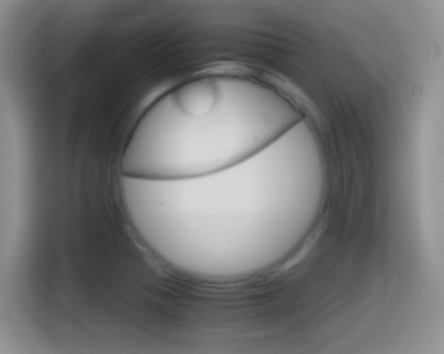 X0000114661321200910201013