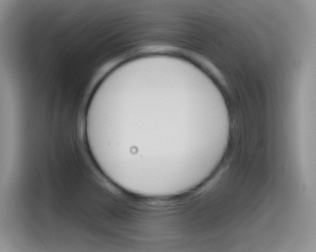 X0000114661322200910201013