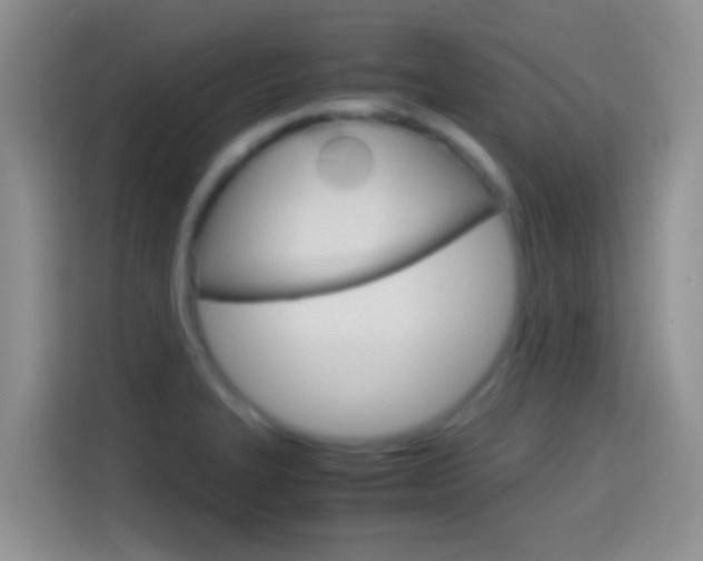 X0000114661327200910201013