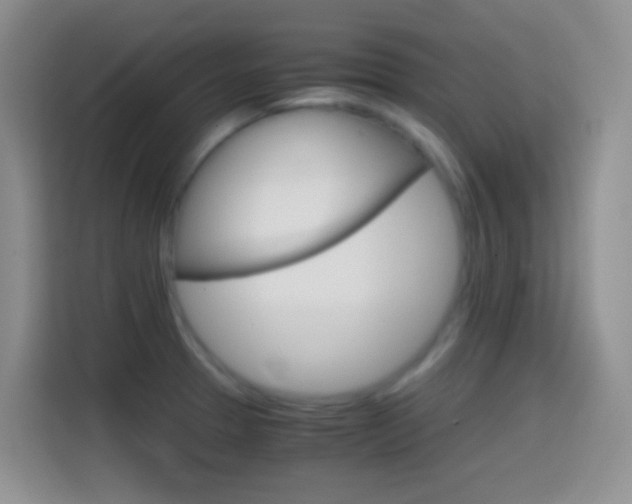 X0000114661329200910201013