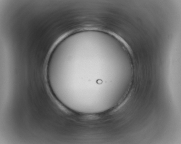 X0000114661333200910201013