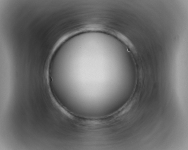 X0000114661334200910201013