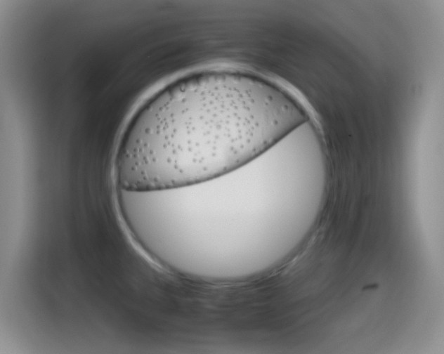 X0000114661335200910201013