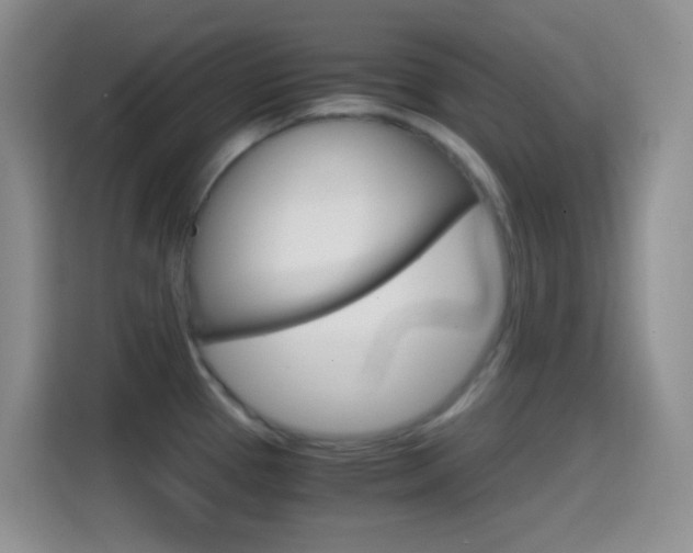 X0000114661337200910201013