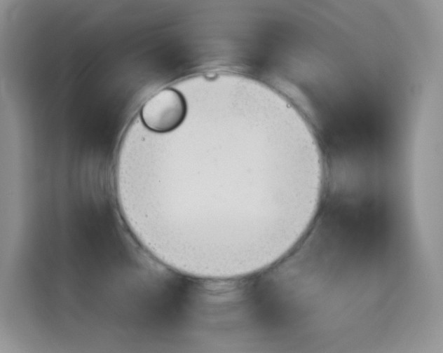 X0000114661338200910201013