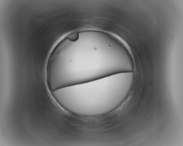 X0000114661341200910201013