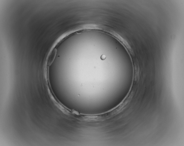 X0000114661342200910201013