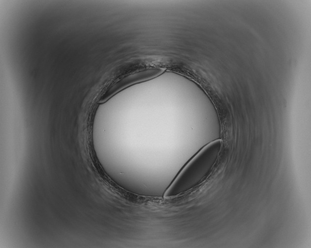 X0000114661345200910201012