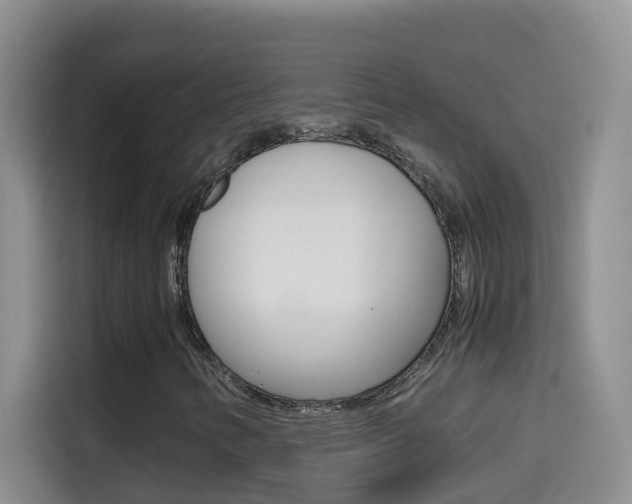 X0000114661346200910201012