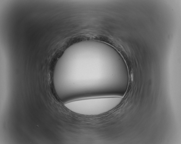 X0000114661347200910201012
