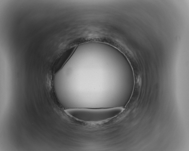 X0000114661348200910201012