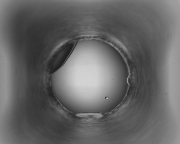 X0000114661352200910201012