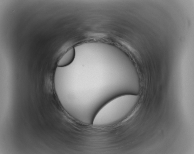X0000114661354200910201012