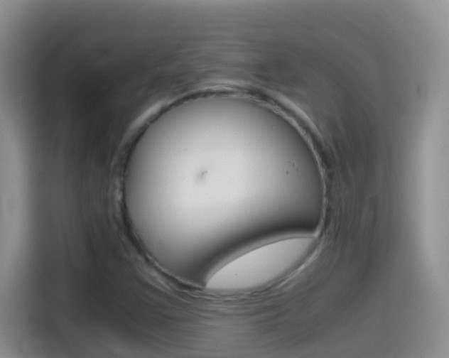 X0000114661355200910201012