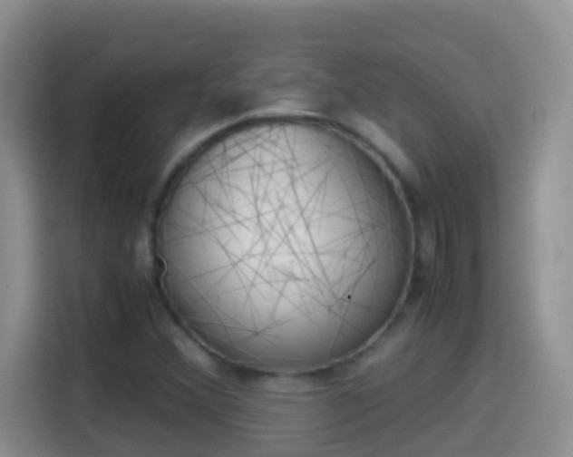 X0000114661356200910201012
