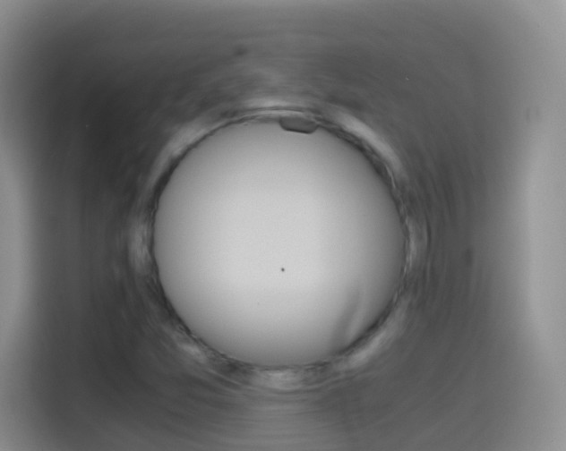X0000114661357200910201012