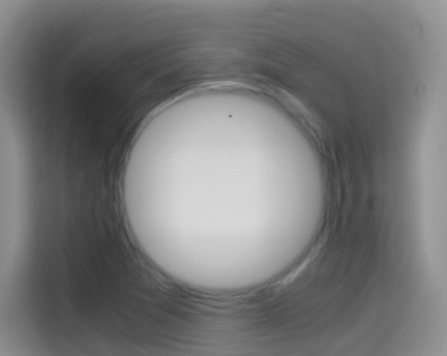 X0000114661361200910201012
