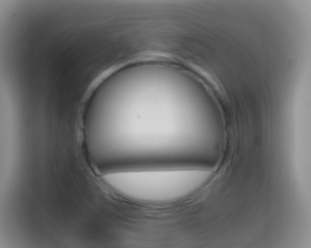 X0000114661363200910201012