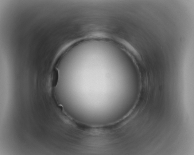 X0000114661364200910201012
