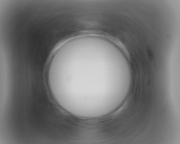X0000114661365200910201012