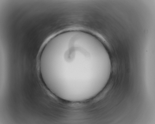 X0000114661366200910201012