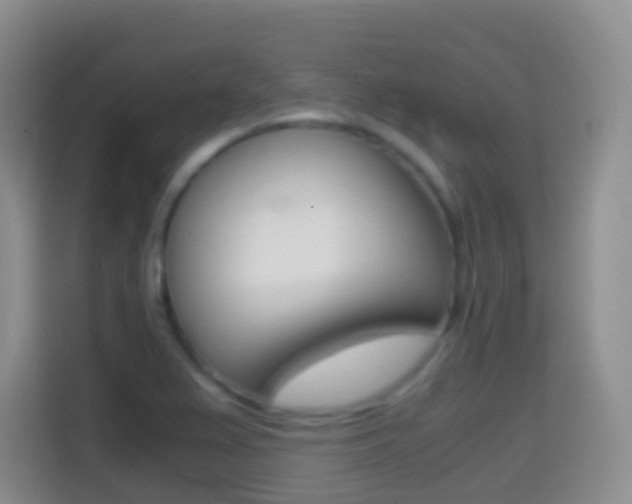 X0000114661367200910201012