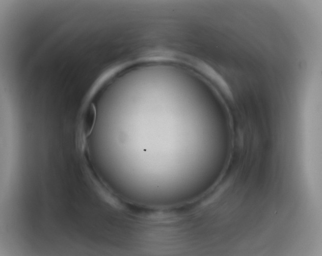 X0000114661368200910201012