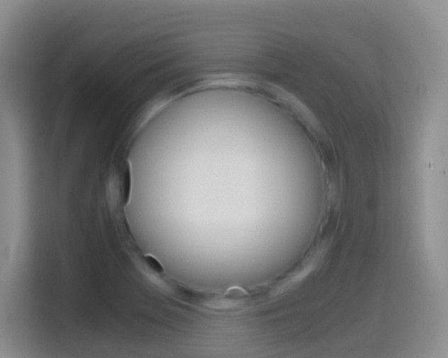 X0000114661369200910201012