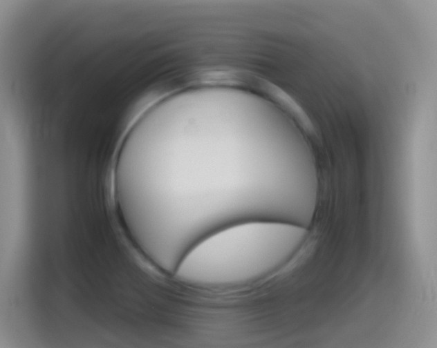 X0000114661370200910201012