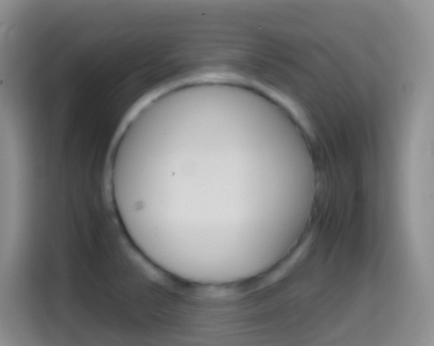 X0000114661374200910201012