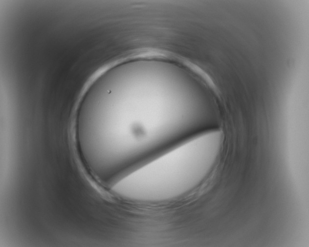 X0000114661375200910201012