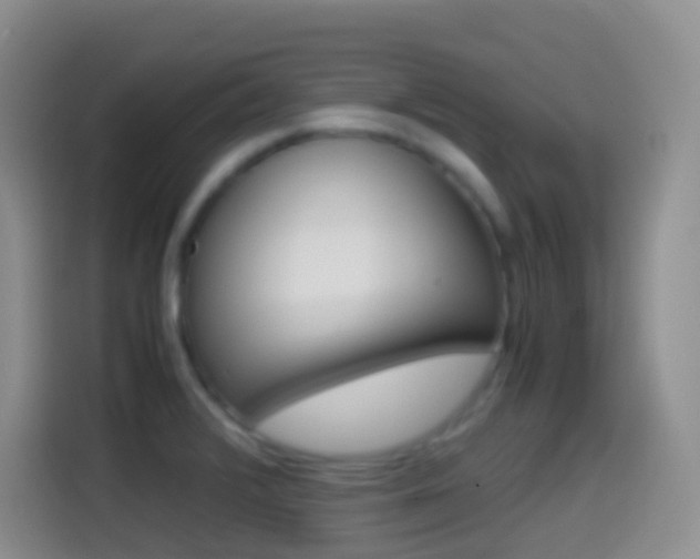 X0000114661376200910201012