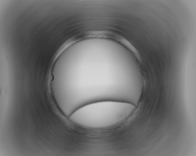 X0000114661378200910201012