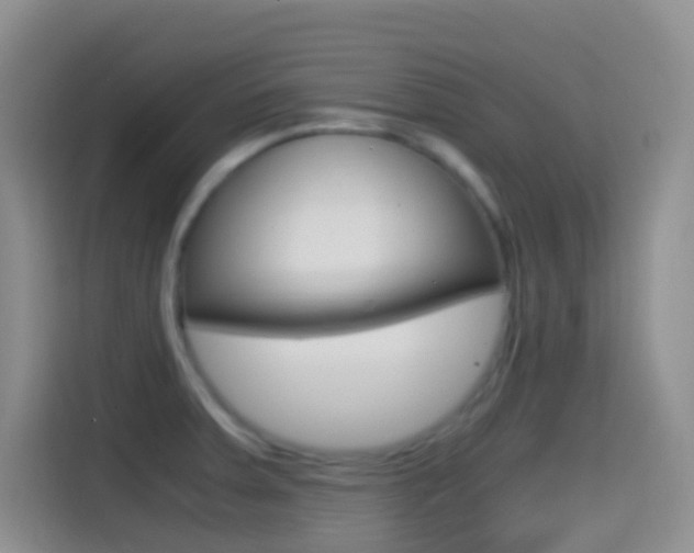 X0000114661379200910201012
