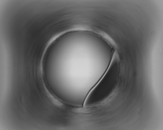 X0000114661380200910201012