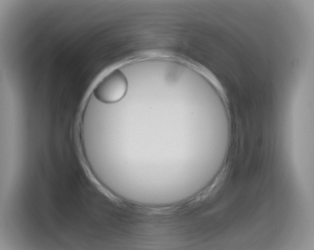 X0000114661381200910201012