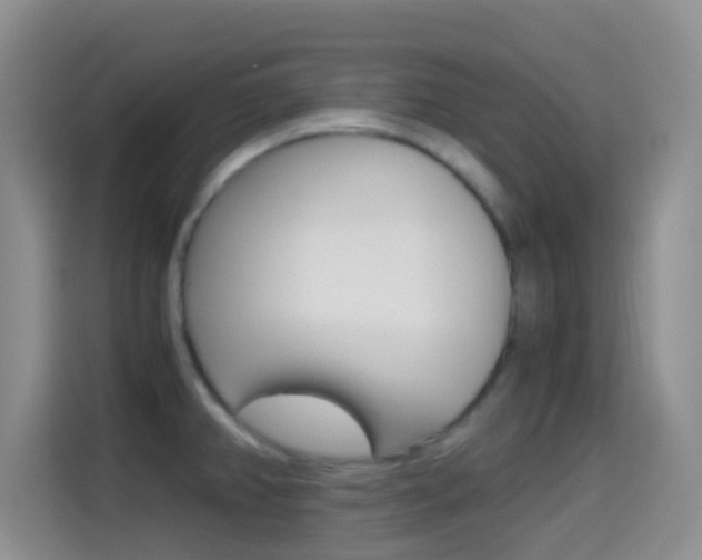 X0000114661382200910201012