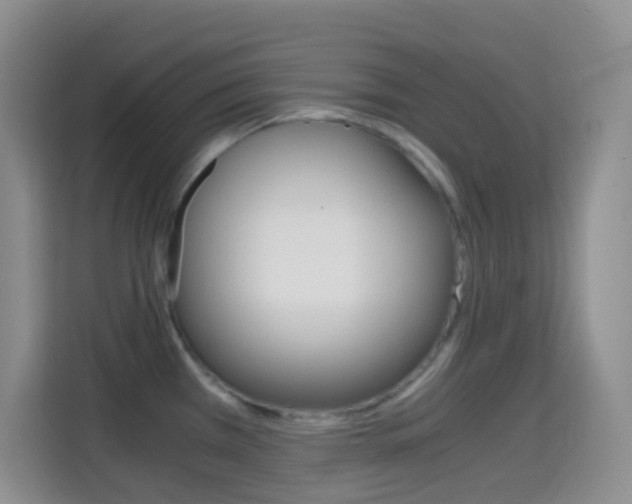 X0000114661385200910201012