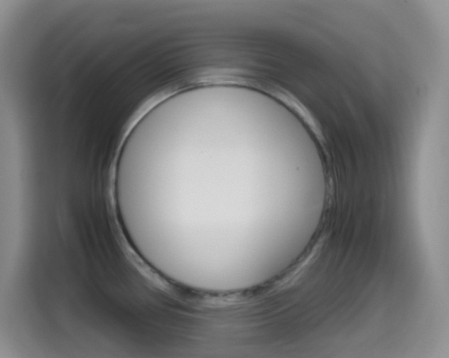 X0000114661386200910201012