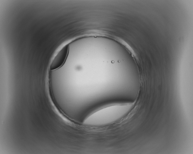 X0000114661387200910201012