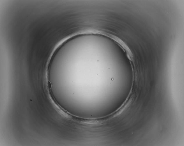 X0000114661388200910201012