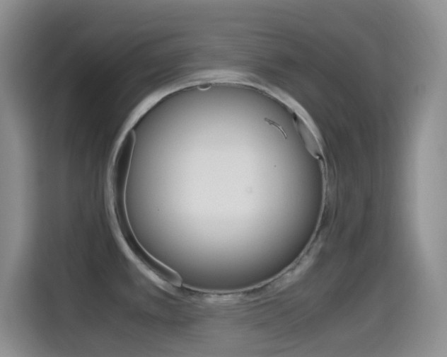 X0000114661389200910201012