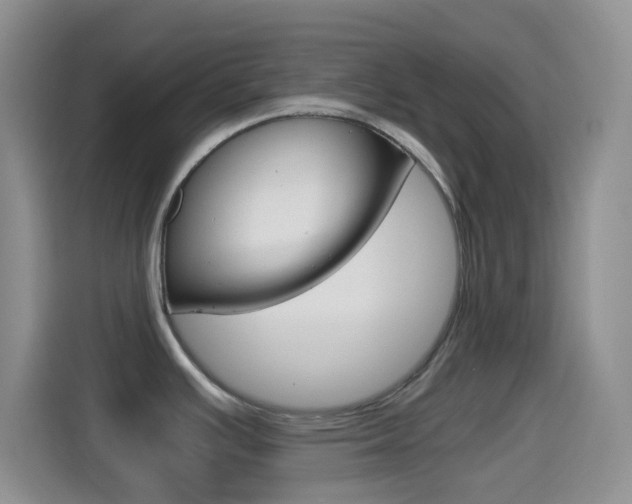X0000114661391200910201012