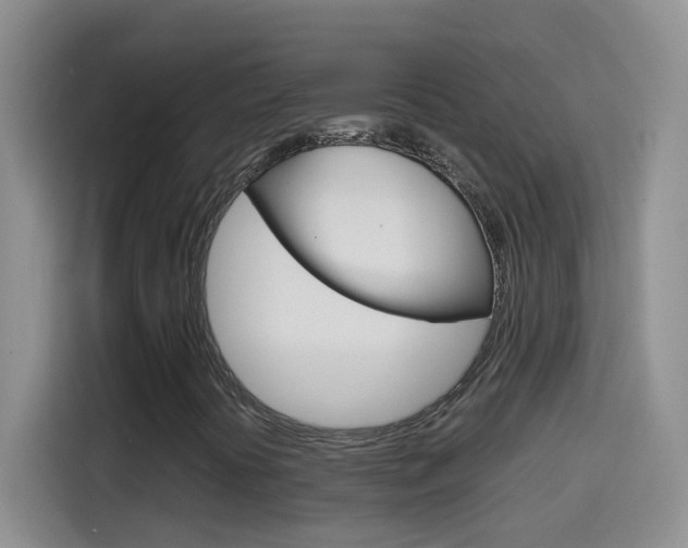 X0000114661394200910201011