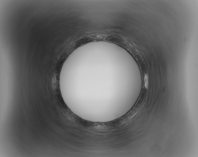 X0000114661395200910201011