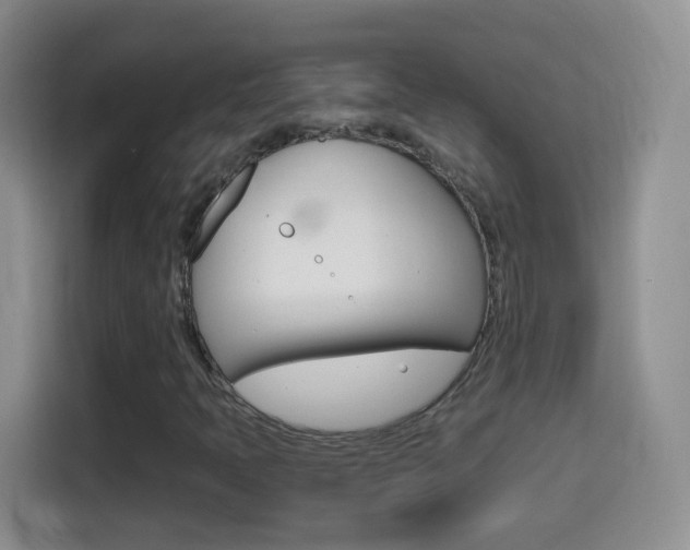 X0000114661397200910201011