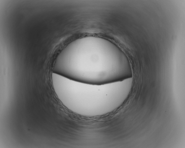 X0000114661398200910201011