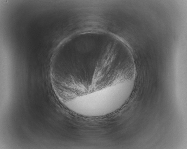 X0000114661399200910201011