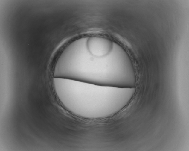 X0000114661400200910201011