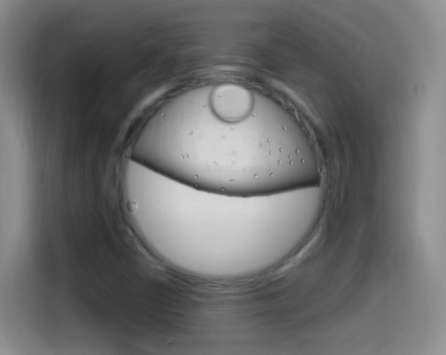 X0000114661402200910201011